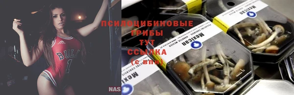 спиды Белоозёрский
